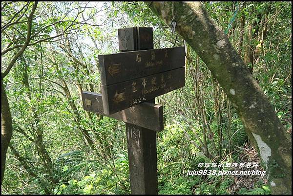 皇帝殿21.JPG 皇帝殿21.JPG