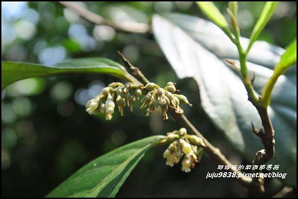 皇帝殿23.JPG 皇帝殿23.JPG