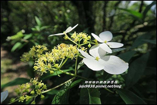 皇帝殿24.JPG 皇帝殿24.JPG