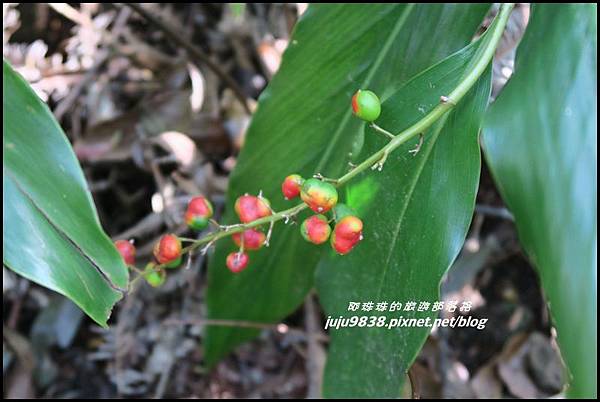 皇帝殿28.JPG 皇帝殿28.JPG