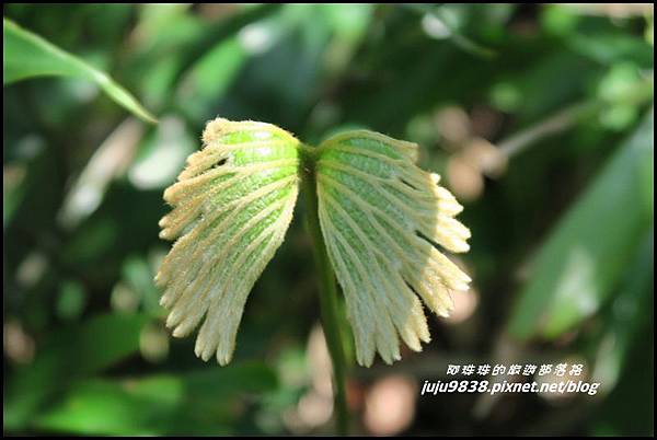 皇帝殿29.JPG 皇帝殿29.JPG