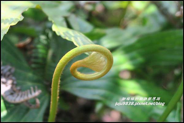 皇帝殿30.JPG 皇帝殿30.JPG