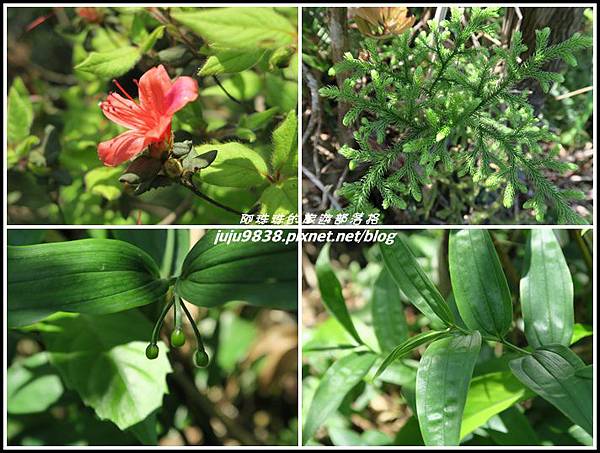 皇帝殿49.jpg 皇帝殿49.jpg