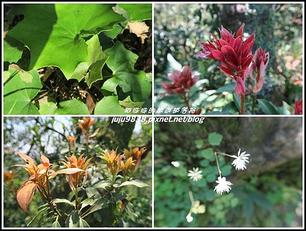 皇帝殿50.jpg 皇帝殿50.jpg