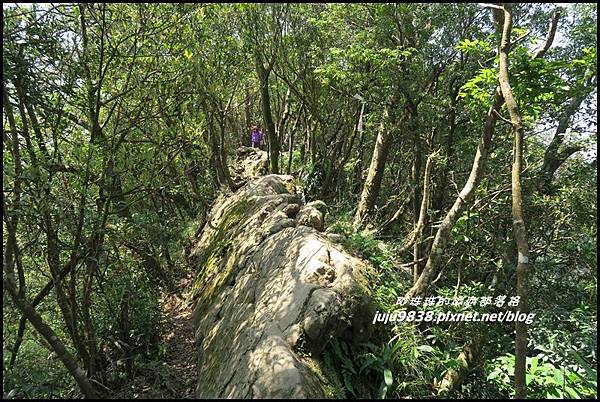 皇帝殿51.JPG 皇帝殿51.JPG