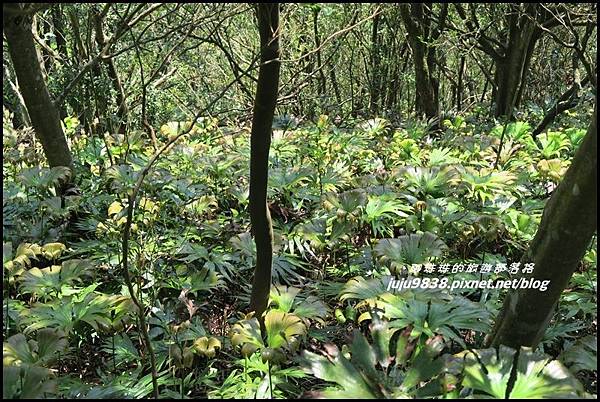 皇帝殿66.JPG 皇帝殿66.JPG