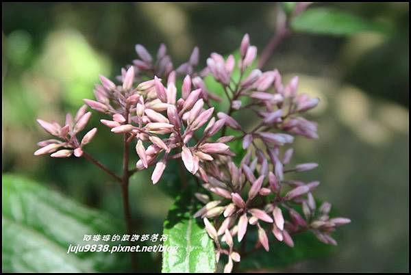 皇帝殿81.JPG 皇帝殿81.JPG