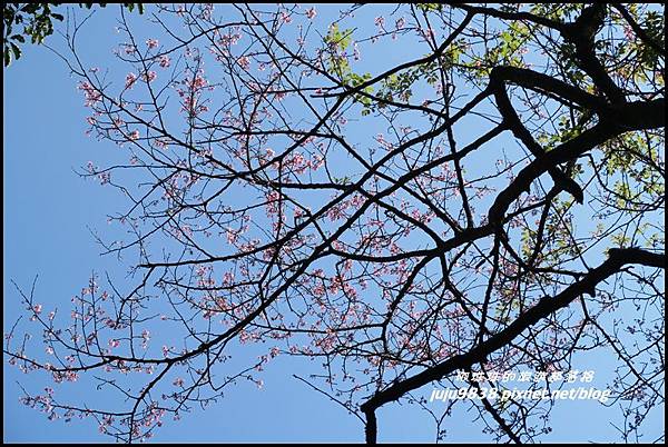 皇帝殿87.JPG 皇帝殿87.JPG