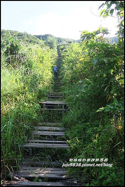 蘭嶼大天池6.JPG 蘭嶼大天池6.JPG