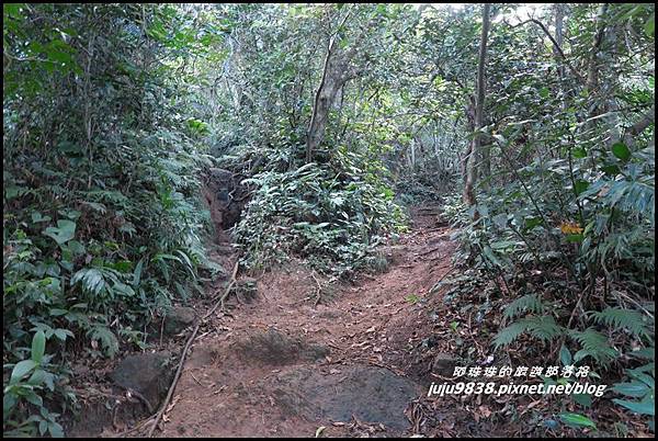 蘭嶼大天池18.JPG 蘭嶼大天池18.JPG