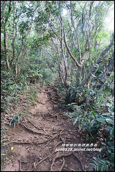 蘭嶼大天池23.JPG 蘭嶼大天池23.JPG
