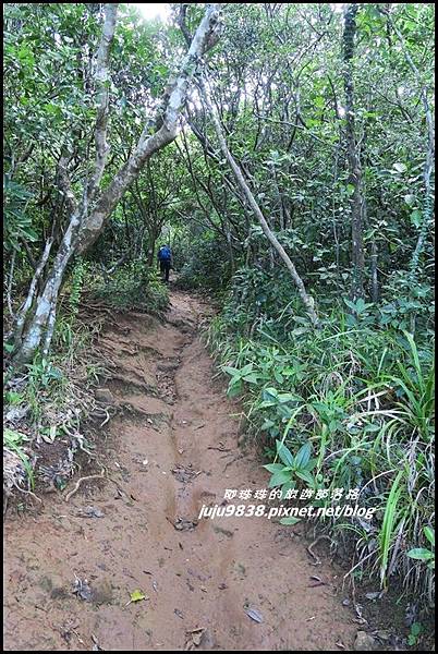 蘭嶼大天池27.JPG 蘭嶼大天池27.JPG