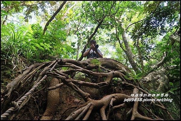 蘭嶼大天池31.JPG 蘭嶼大天池31.JPG