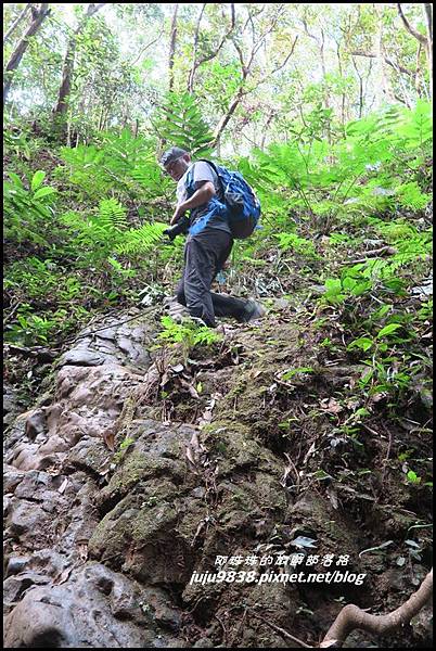 蘭嶼大天池32.JPG 蘭嶼大天池32.JPG