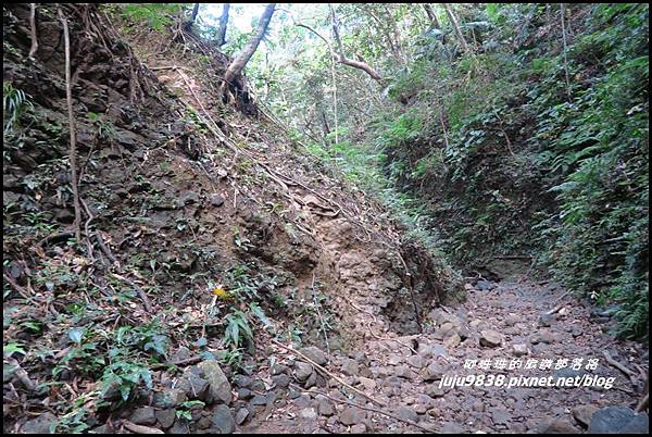 蘭嶼大天池33.JPG 蘭嶼大天池33.JPG