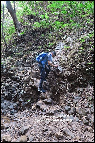 蘭嶼大天池34.JPG 蘭嶼大天池34.JPG