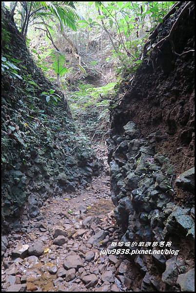 蘭嶼大天池36.JPG 蘭嶼大天池36.JPG