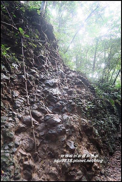 蘭嶼大天池37.JPG 蘭嶼大天池37.JPG