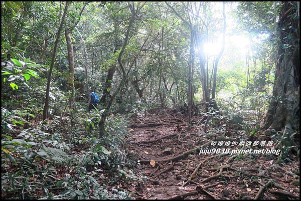 蘭嶼大天池39.JPG 蘭嶼大天池39.JPG