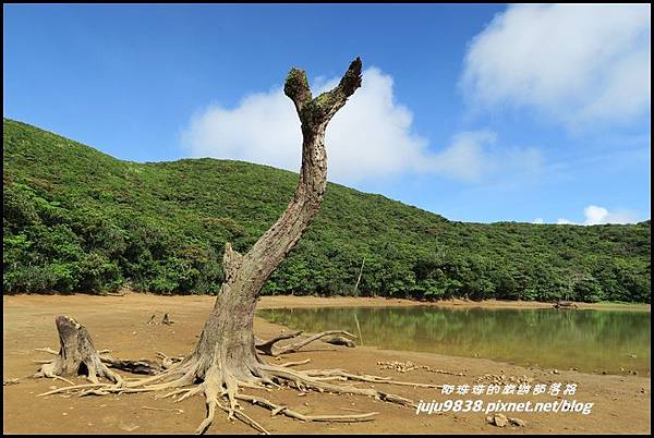 蘭嶼大天池52.JPG 蘭嶼大天池52.JPG