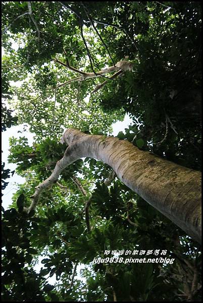 蘭嶼大天池68.JPG 蘭嶼大天池68.JPG