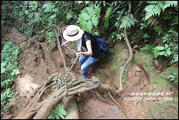 蘭嶼大天池78.JPG 蘭嶼大天池78.JPG