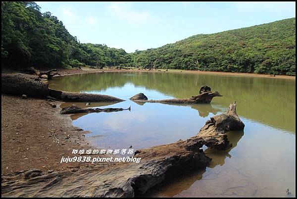 蘭嶼大天池91.JPG 蘭嶼大天池91.JPG