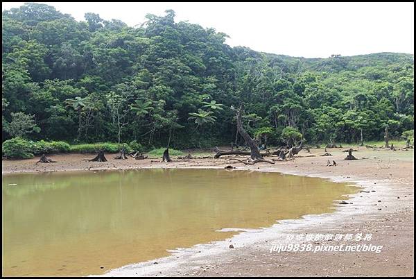 蘭嶼大天池95.JPG 蘭嶼大天池95.JPG