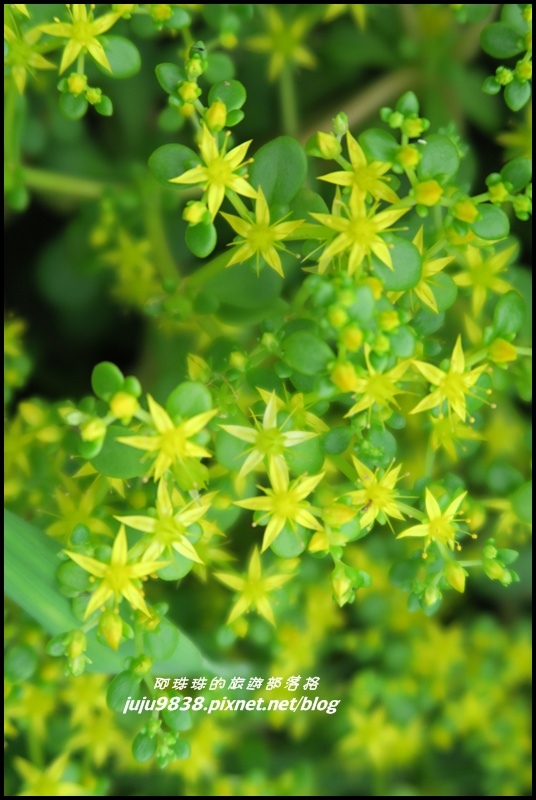 象鼻岩16.JPG 象鼻岩16.JPG