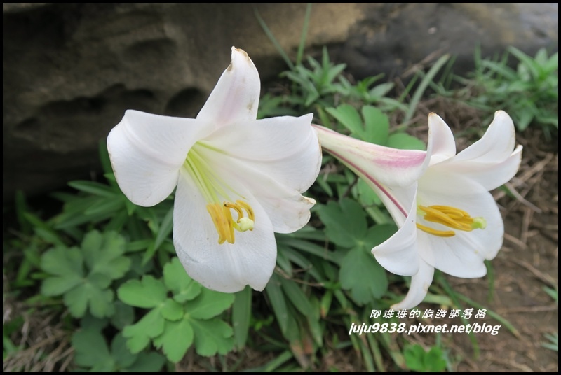 象鼻岩24.JPG 象鼻岩24.JPG