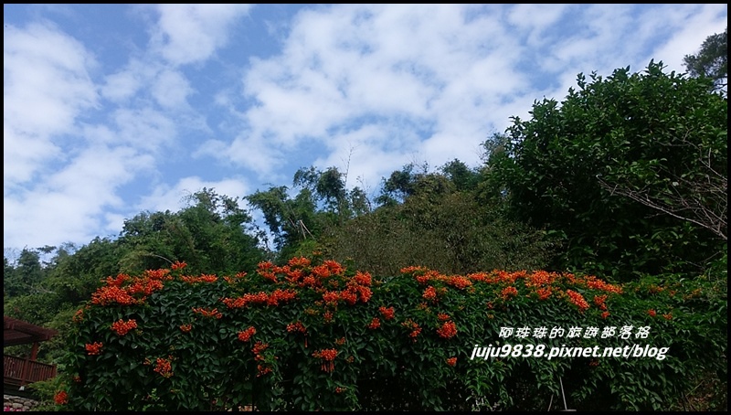 崎頭步道7.jpg 崎頭步道7.jpg