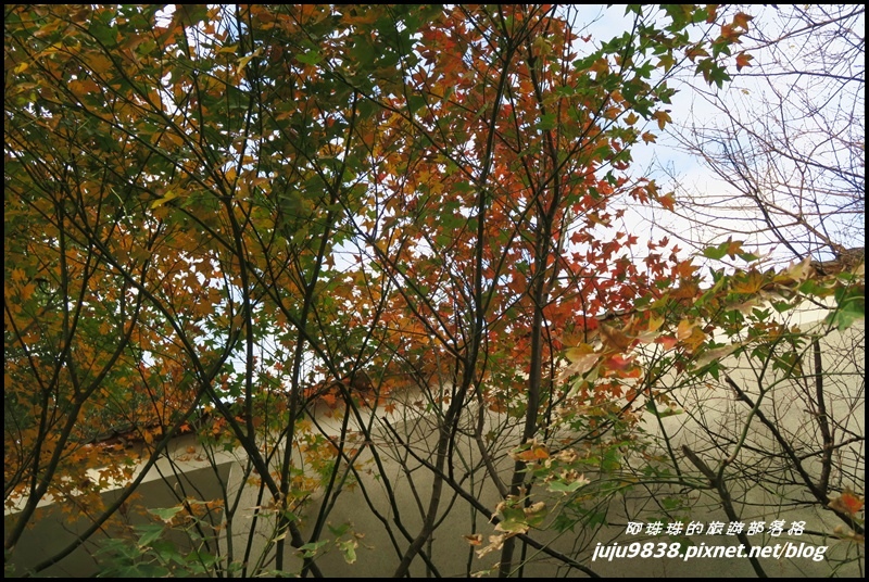 崎頭步道13.JPG 崎頭步道13.JPG