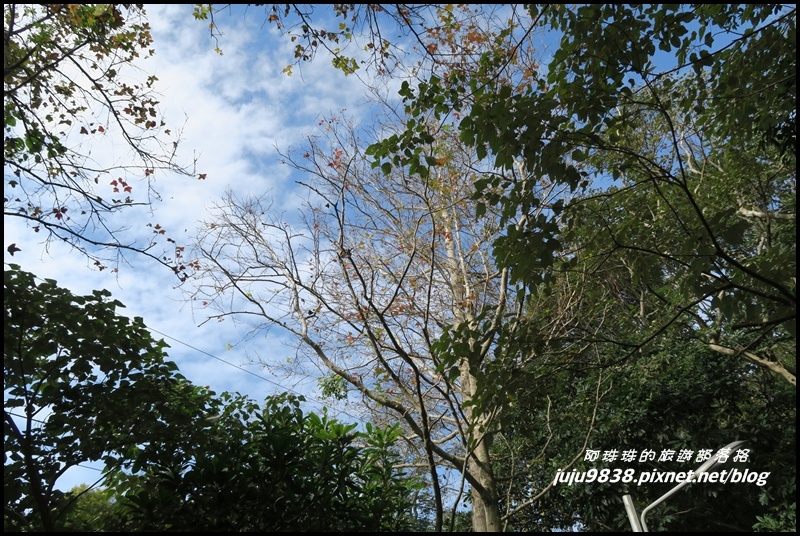 崎頭步道42.JPG 崎頭步道42.JPG