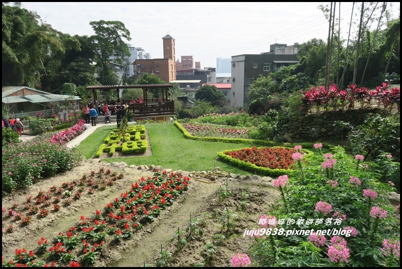 崎頭步道54.JPG 崎頭步道54.JPG
