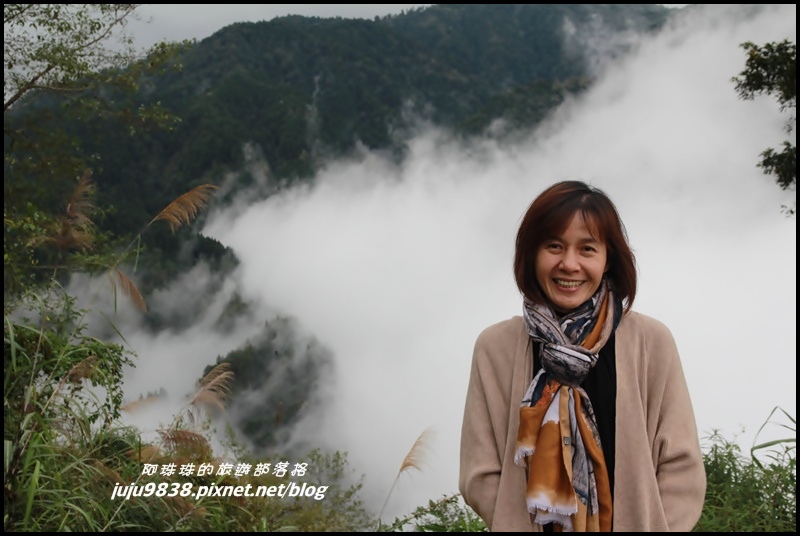 杉林溪3.JPG 杉林溪3.JPG