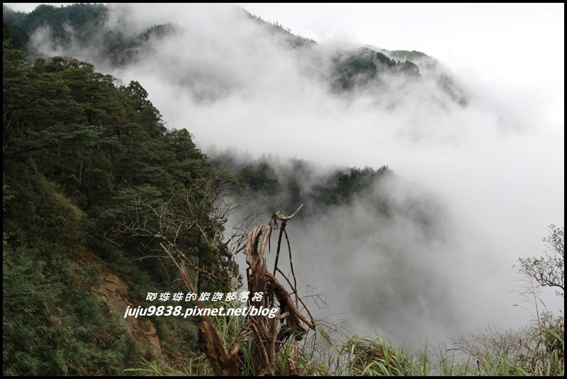 杉林溪6.JPG 杉林溪6.JPG