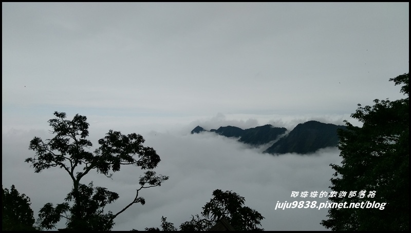 杉林溪8.jpg 杉林溪8.jpg