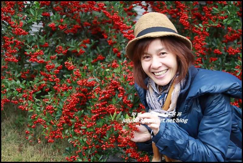 杉林溪9.JPG 杉林溪9.JPG