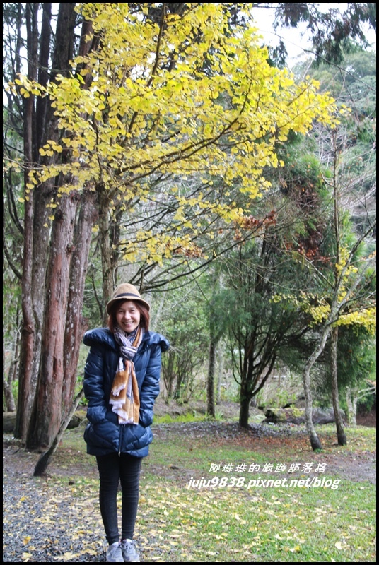 杉林溪12.JPG 杉林溪12.JPG