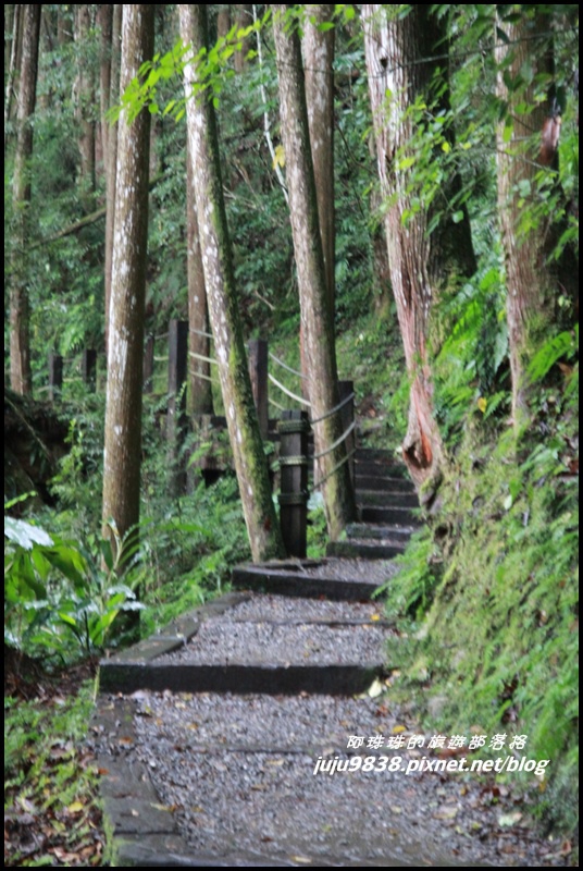 杉林溪13.JPG 杉林溪13.JPG