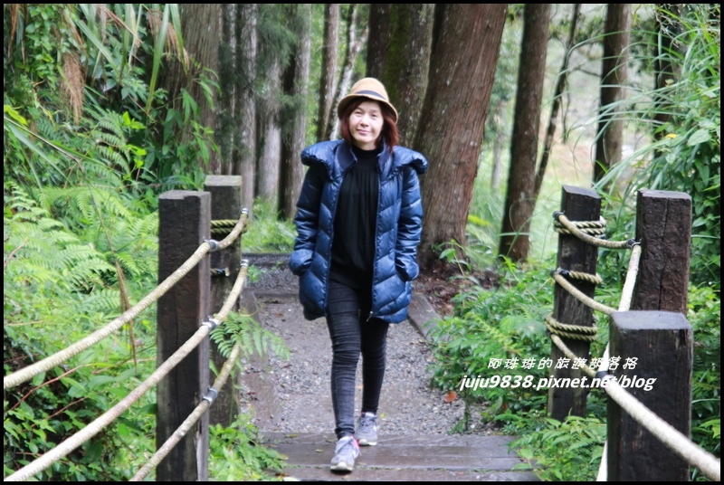 杉林溪14.JPG 杉林溪14.JPG