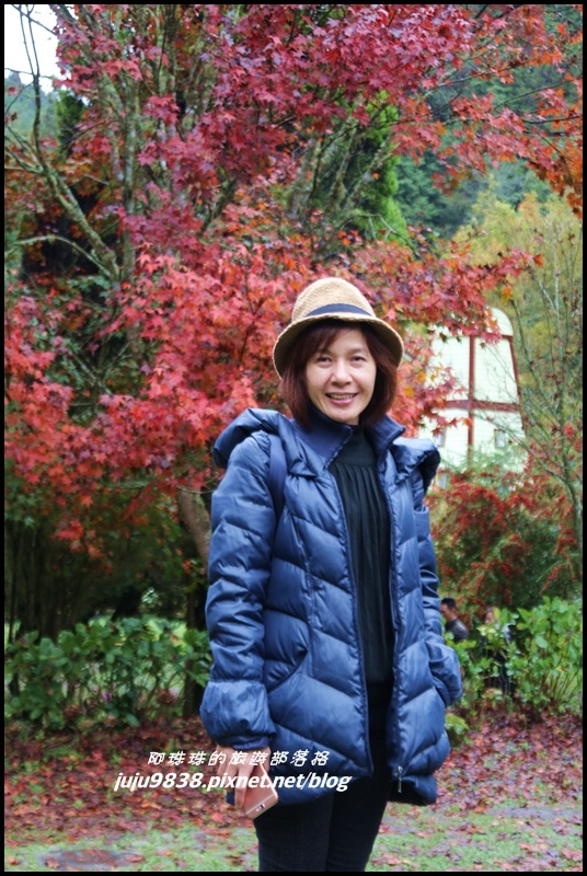 杉林溪19.JPG 杉林溪19.JPG