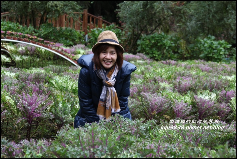 杉林溪23.JPG 杉林溪23.JPG