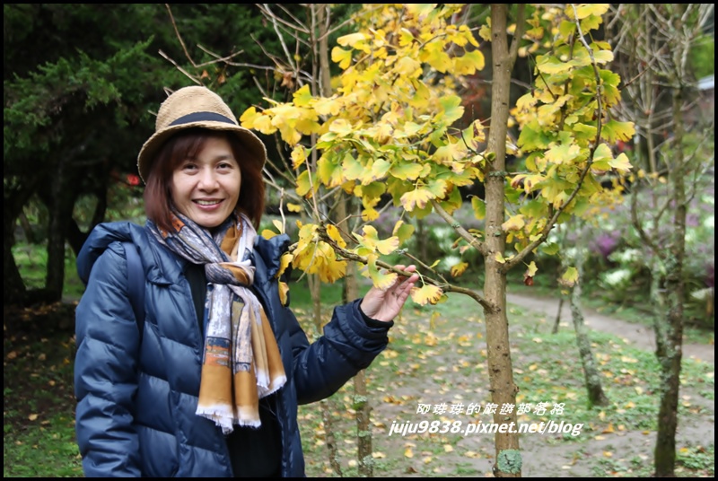 杉林溪25.JPG 杉林溪25.JPG