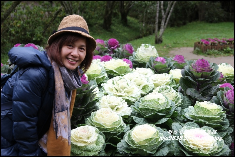 杉林溪27.JPG 杉林溪27.JPG