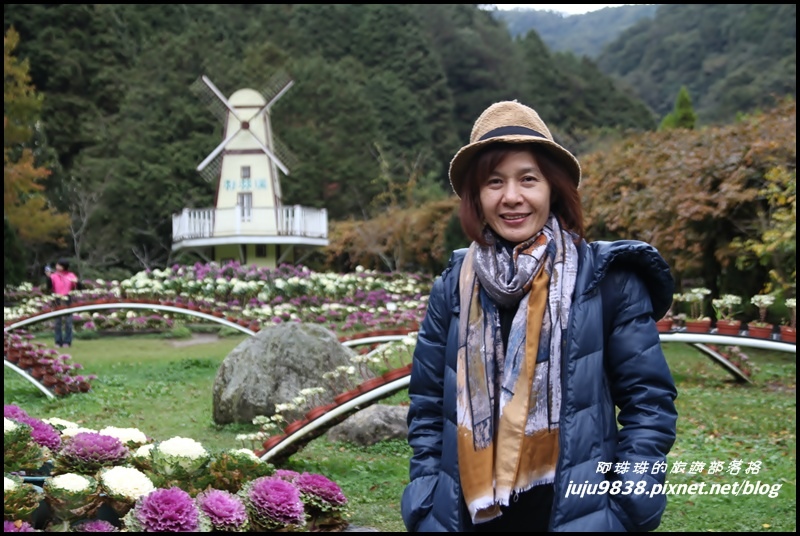 杉林溪26.JPG 杉林溪26.JPG