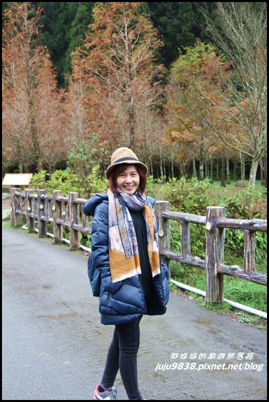 杉林溪29.JPG 杉林溪29.JPG