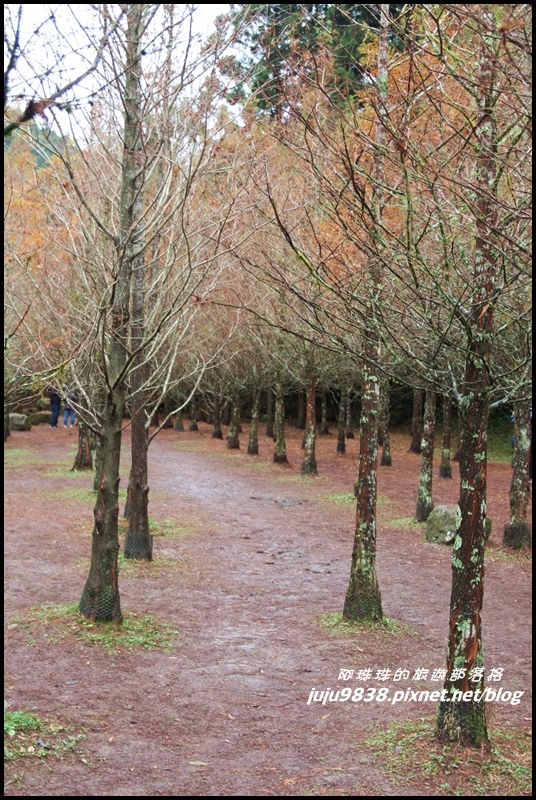 杉林溪30.JPG 杉林溪30.JPG