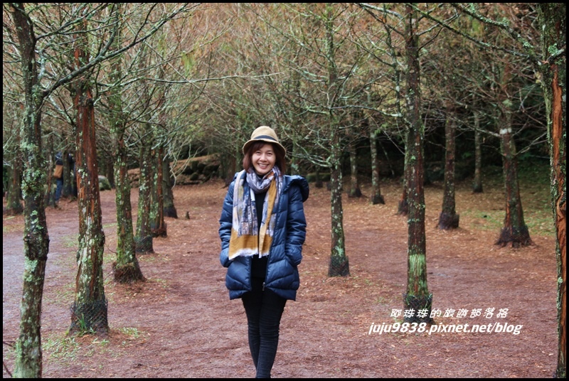 杉林溪32.JPG 杉林溪32.JPG