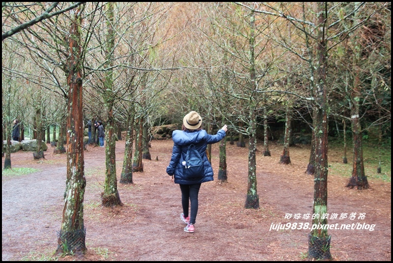 杉林溪33.JPG 杉林溪33.JPG